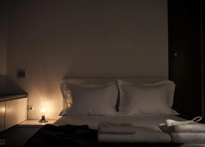 Stone Pelion וילה אפיסוס